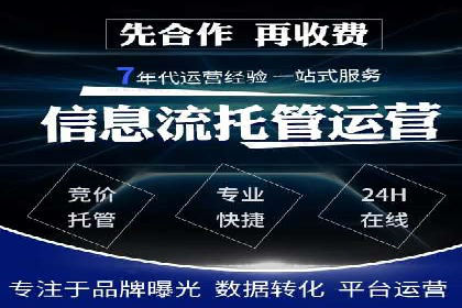 网络推广策略：竞价广告的实践案例